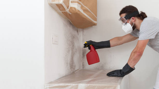 Professional Crawl Space Mold Remediation technician working in Fayetteville, GA