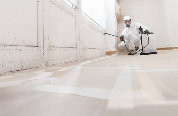 24/7 Emergency Crawl Space Mold Remediation experts in Fayetteville, GA