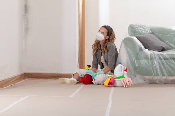 Reliable Crawl Space Mold Remediation contractor in Fayetteville, GA by 24 Hour Mold Removal