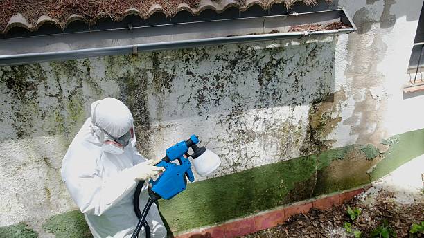 Top rated local Crawl Space Mold Remediation specialists in Fayetteville, GA